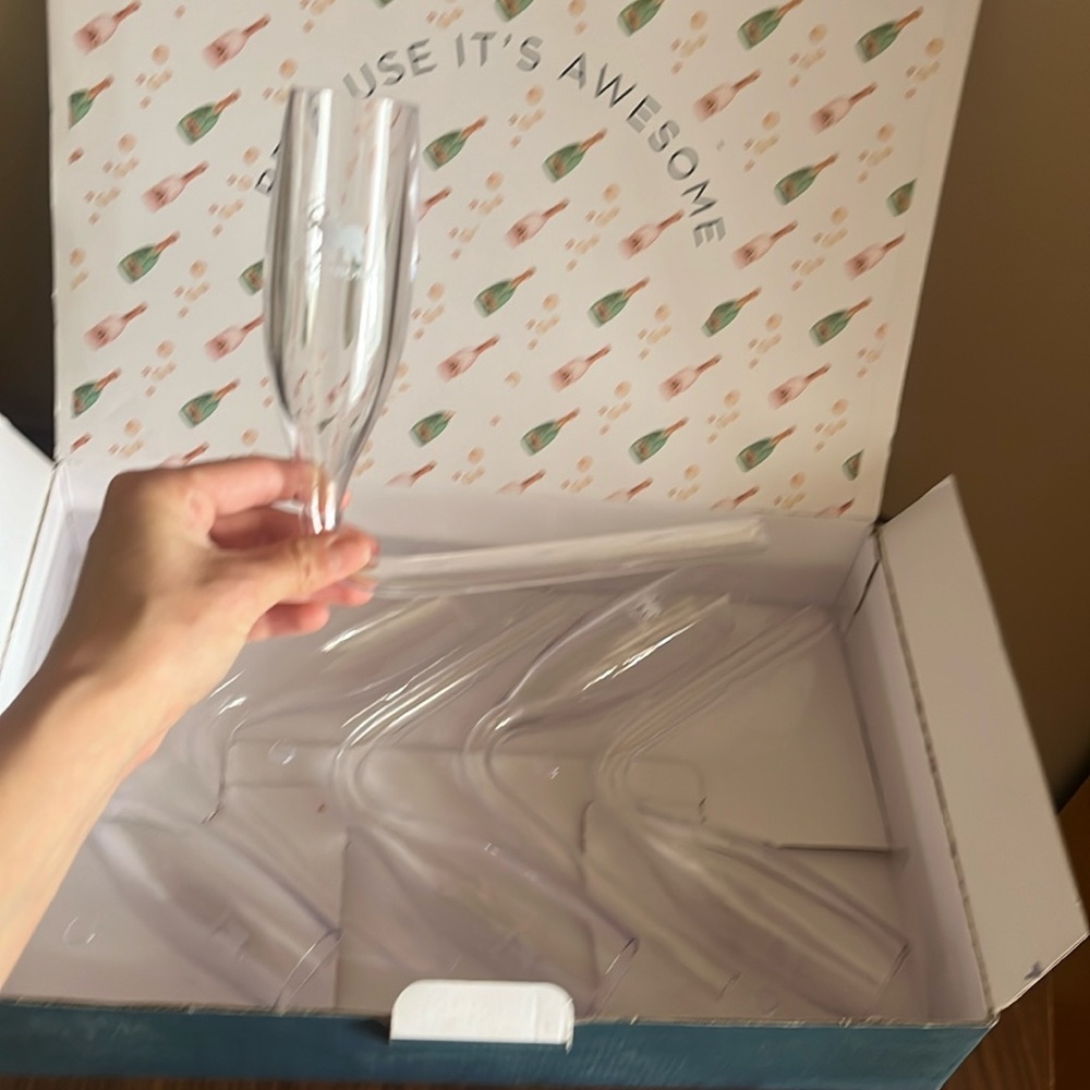 Chambong - 5 Plastic Champagne Flutes
